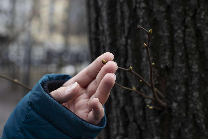 Эйнари Мюхкюря