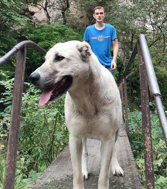 Георгий Асеев