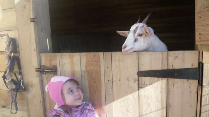 Настя Каданцева