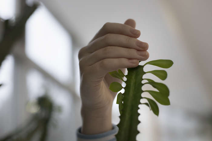 Екатерина Петухова